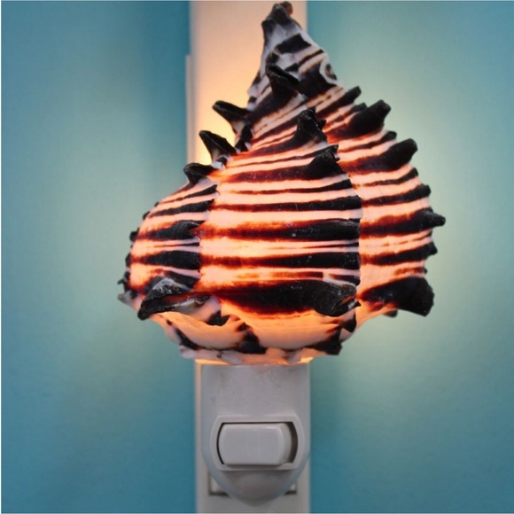 LADT ONE! NEW! Natural Black & White Murex Seashell Night Light - Picture 5 of 7
